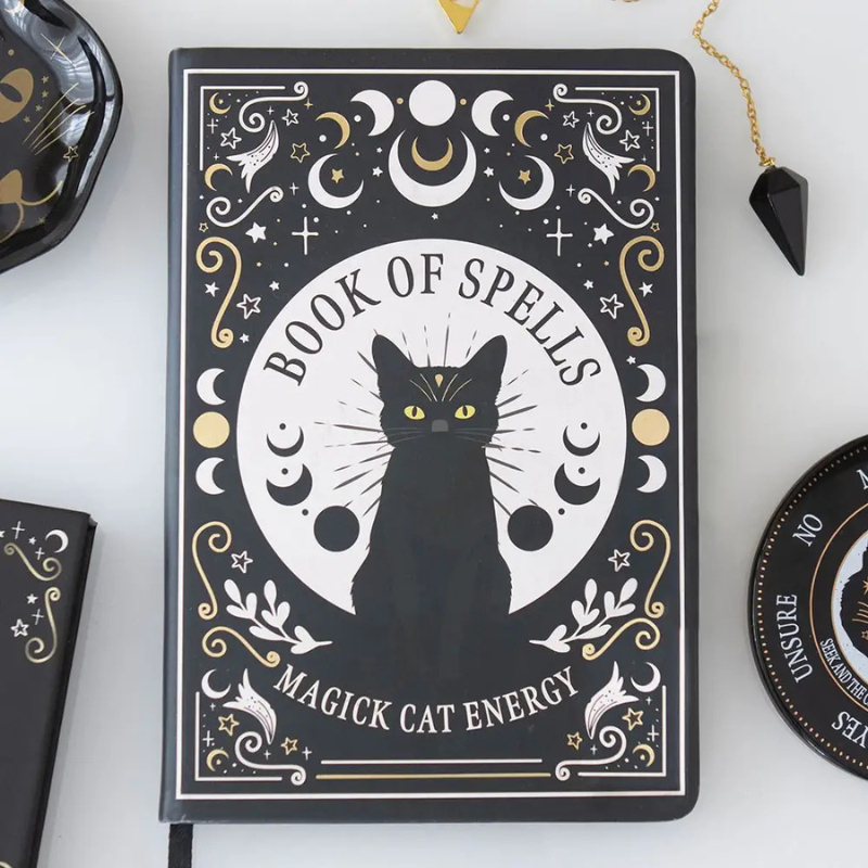 Book of Spells Notebook + Pen
