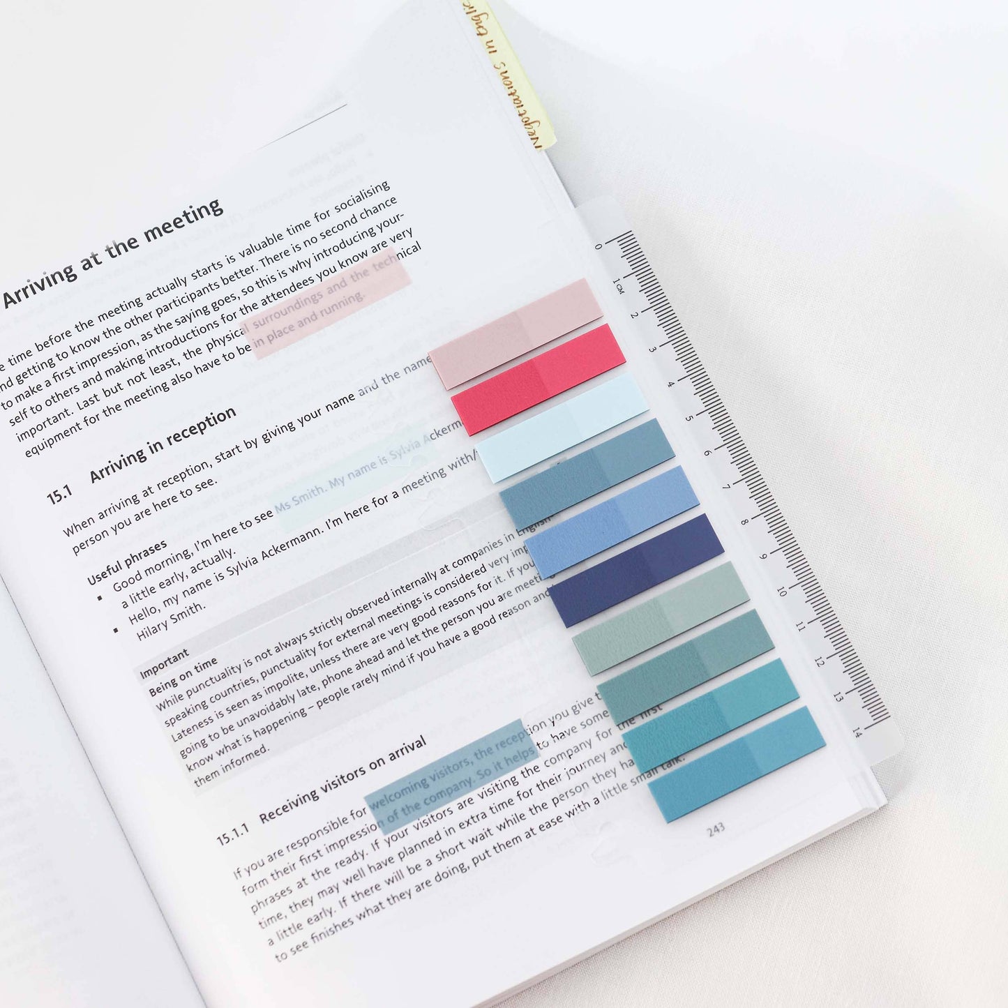 Blaues Rouge | Transparente Haftnotizen