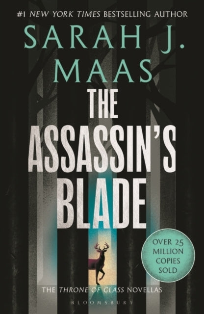 Throne of Glass 0.5: The Assassin's Blade