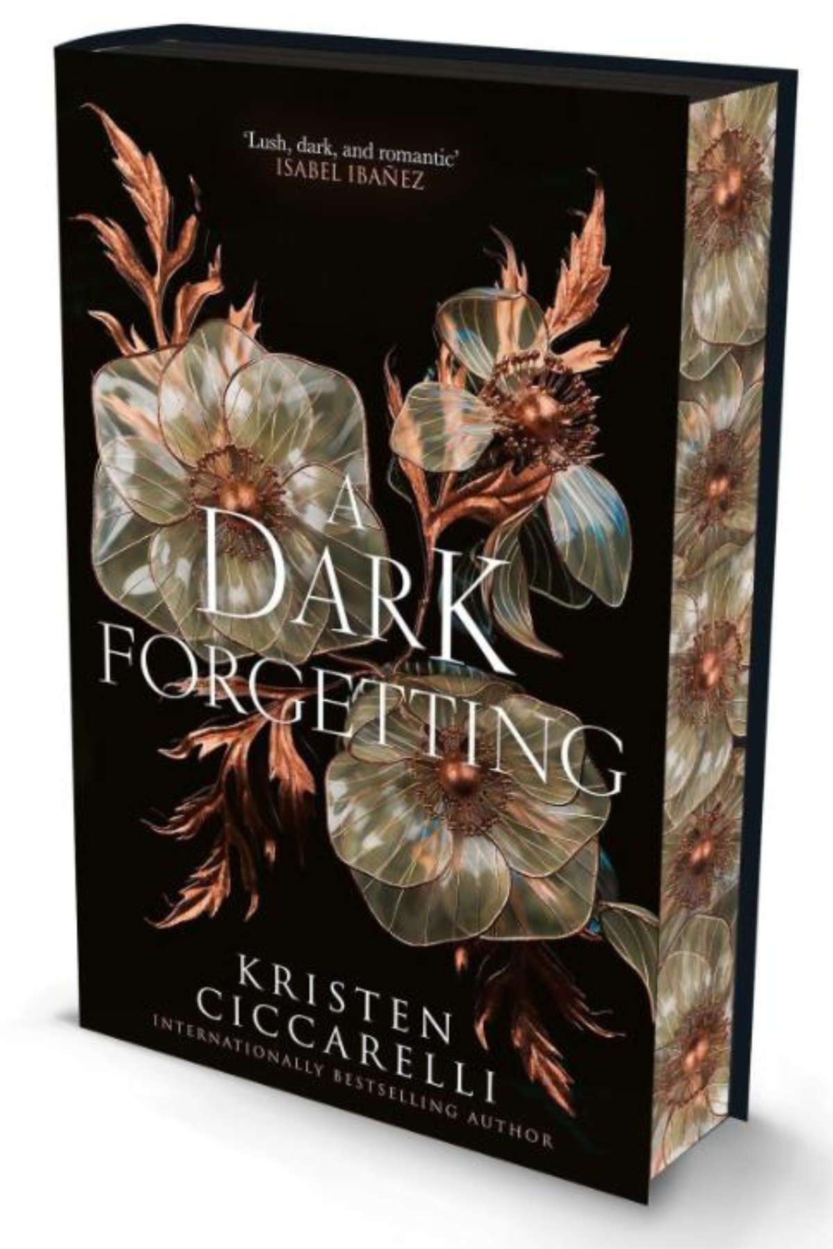 A Dark Forgetting: Special Edition