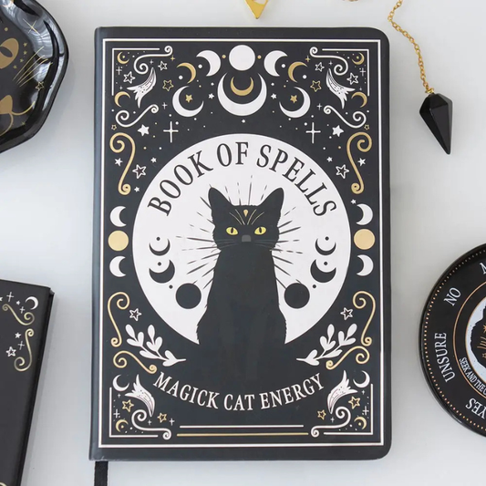 Book of Spells Notebook + Pen