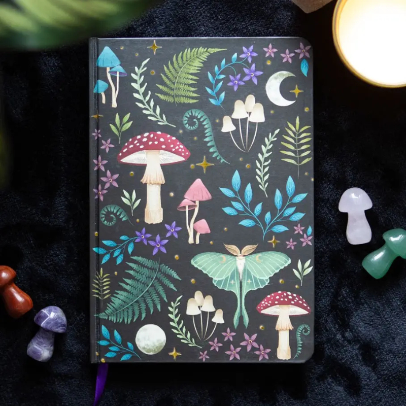 Dark Forest Notebook
