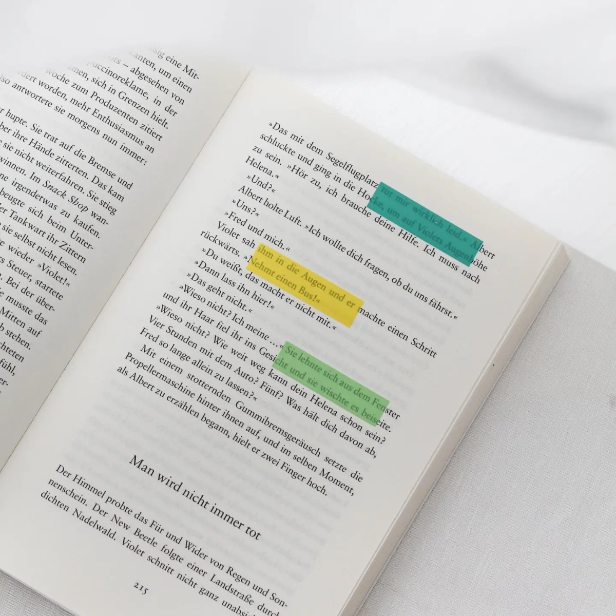 Enchanted Forest Annotation Tabs