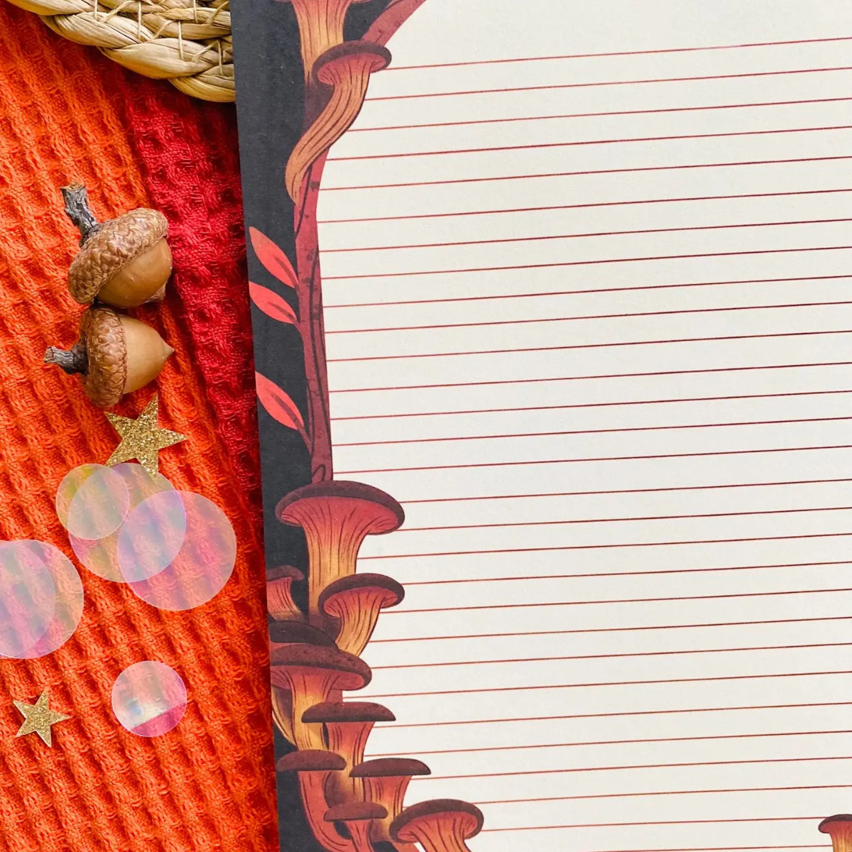 Notebook Paddenstoelen